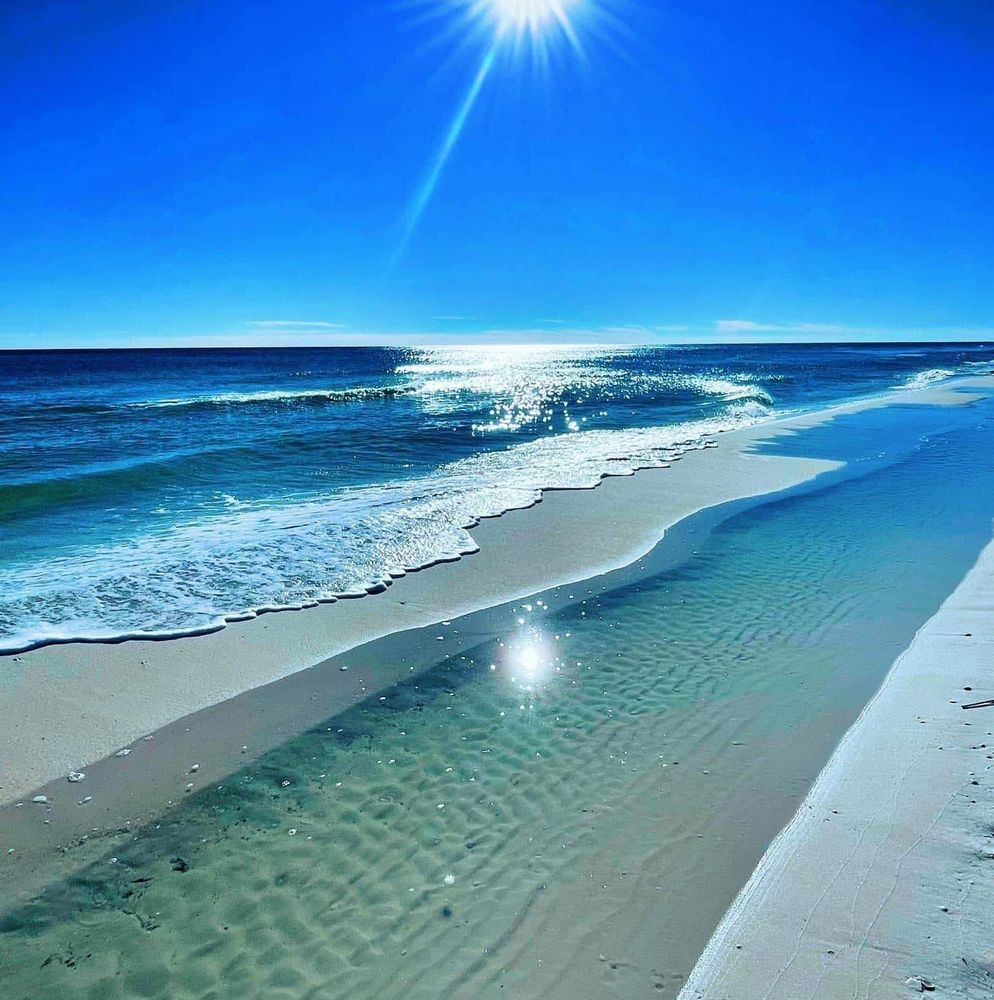 Meet your Posher, Jt